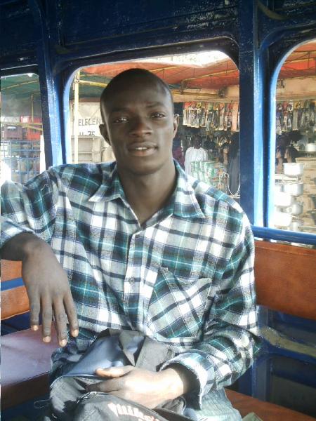 look at this lion!!!!!!!!!!